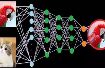 A deep dive in deep learning ocean with Pytorch & TensorFlow